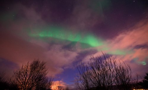 IMG_2412