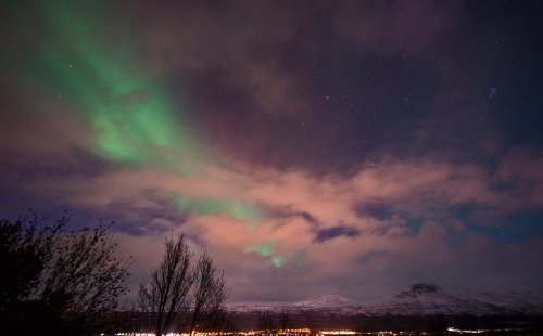 IMG_2413