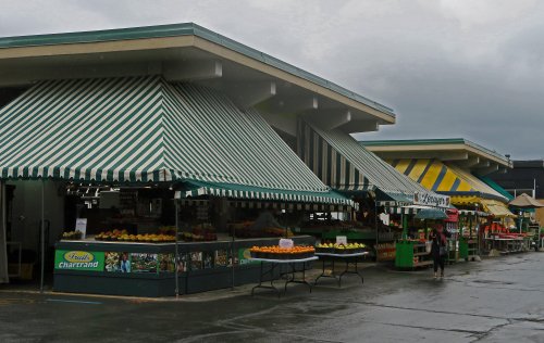 IMG_5679