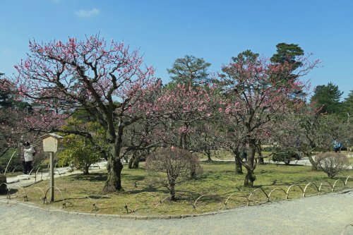 IMG_4427