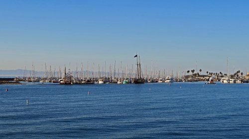 IMG_6691