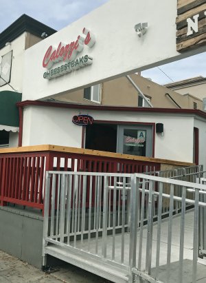 Calozzis 01