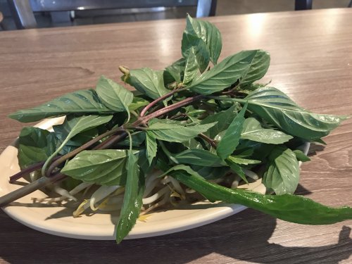 Pho Hoa Rev 03