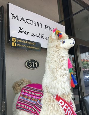Machu Picchu Rest 11