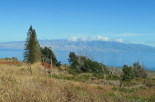 IMG_3512