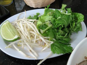 IMG_8172