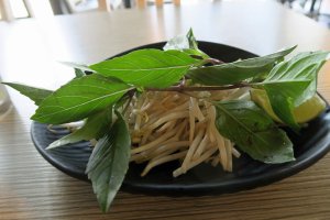 Pho Shop Rev 02