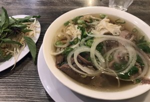 Pho 7 Cow Rev 06