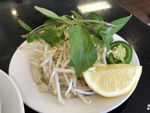 Pho Nhu Y CV 04