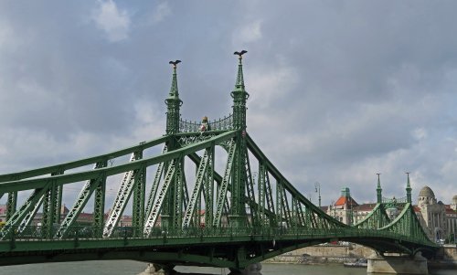 IMG_0238