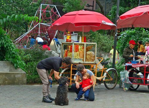 Making Friends at Plaza Rio de Janeiro - Mexico City