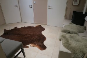 IMG_0357 IMG_0357