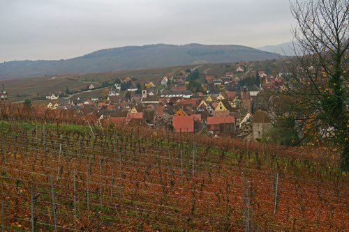 IMG_2485