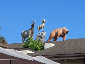 IMG_2256