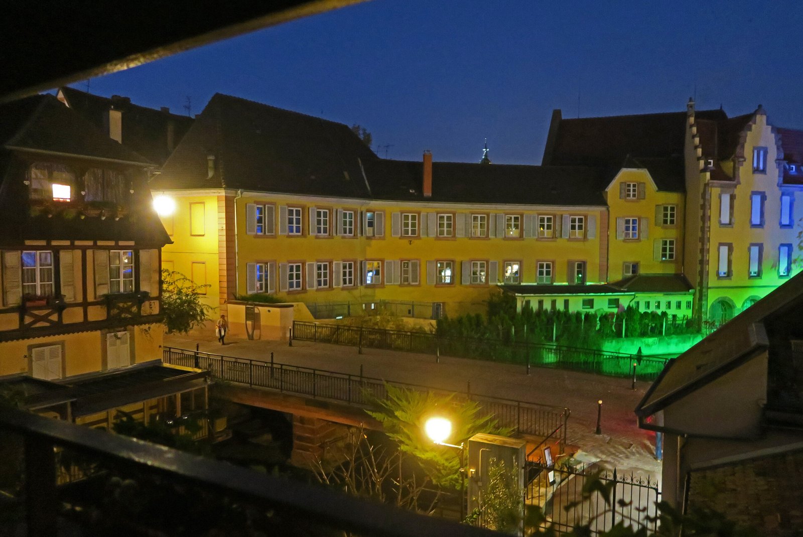IMG_2531 IMG_2531
