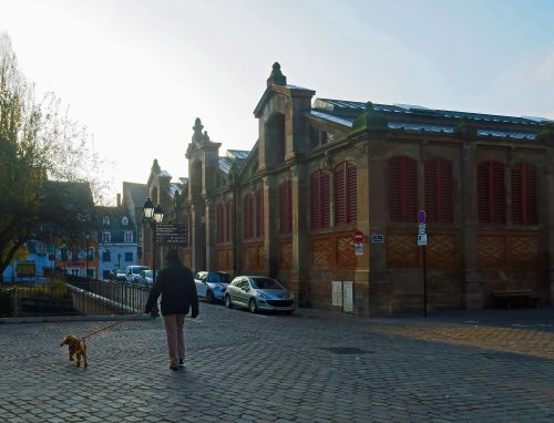 IMG_2557 IMG_2557