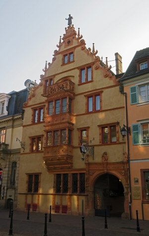 IMG_2582 IMG_2582