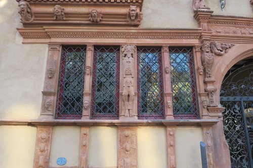 IMG_2583 IMG_2583