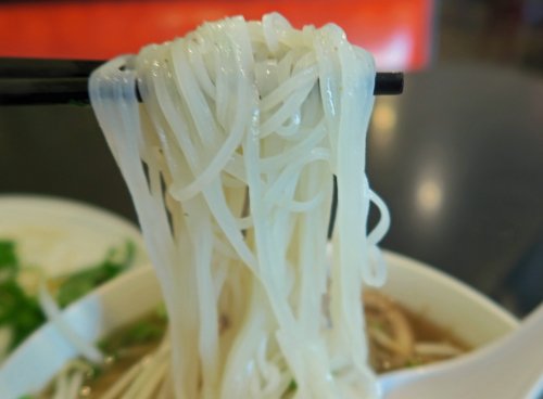40N Pho 05