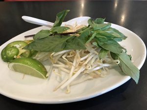40N Pho 04
