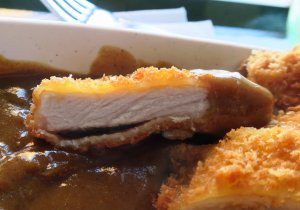 Curry - Musashiya 04