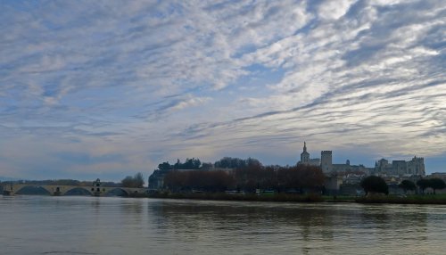 IMG_4384