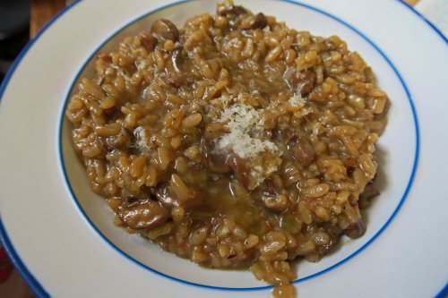 Mushroom Risotto for Dinner