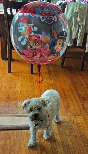 Frankie at 17
