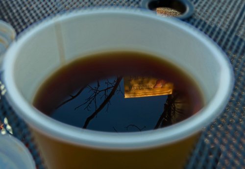 IMG_7387
