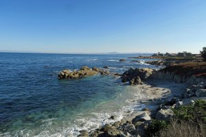 IMG_7409