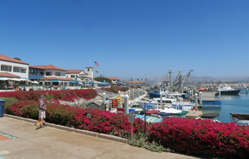 IMG_8834