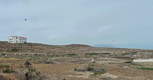 IMG_9685