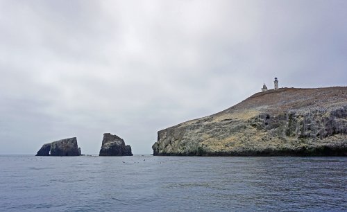 DSC00962