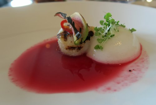 Black Radish Q 09