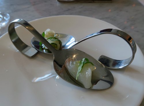 Black Radish Q 03