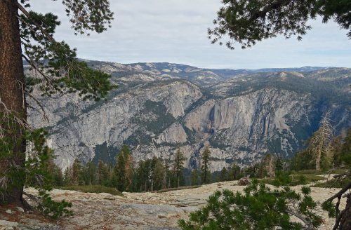 IMG_0342