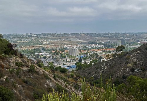U Heights 09