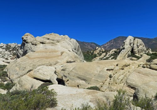 IMG_3469
