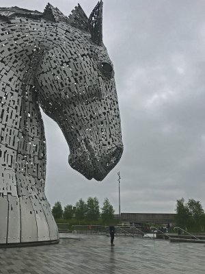 IMG_5695