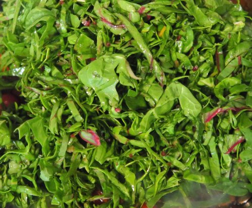 Pesto Chard 06