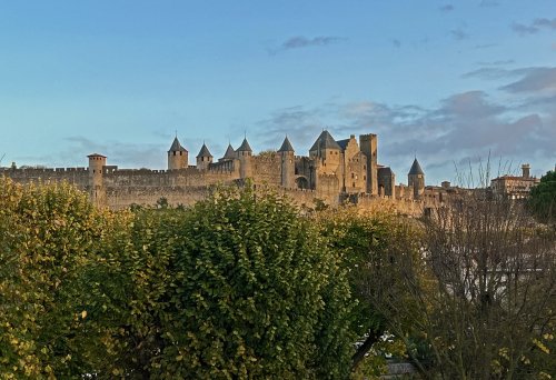 IMG_3303