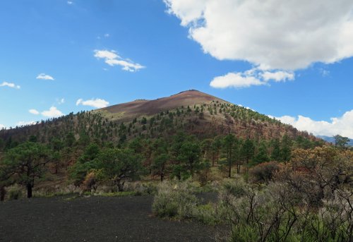 IMG_3808
