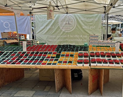 Six For Little Italy 06