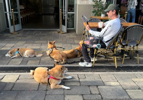 Six For Little Italy 05