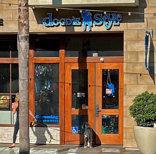 Six For Little Italy 09