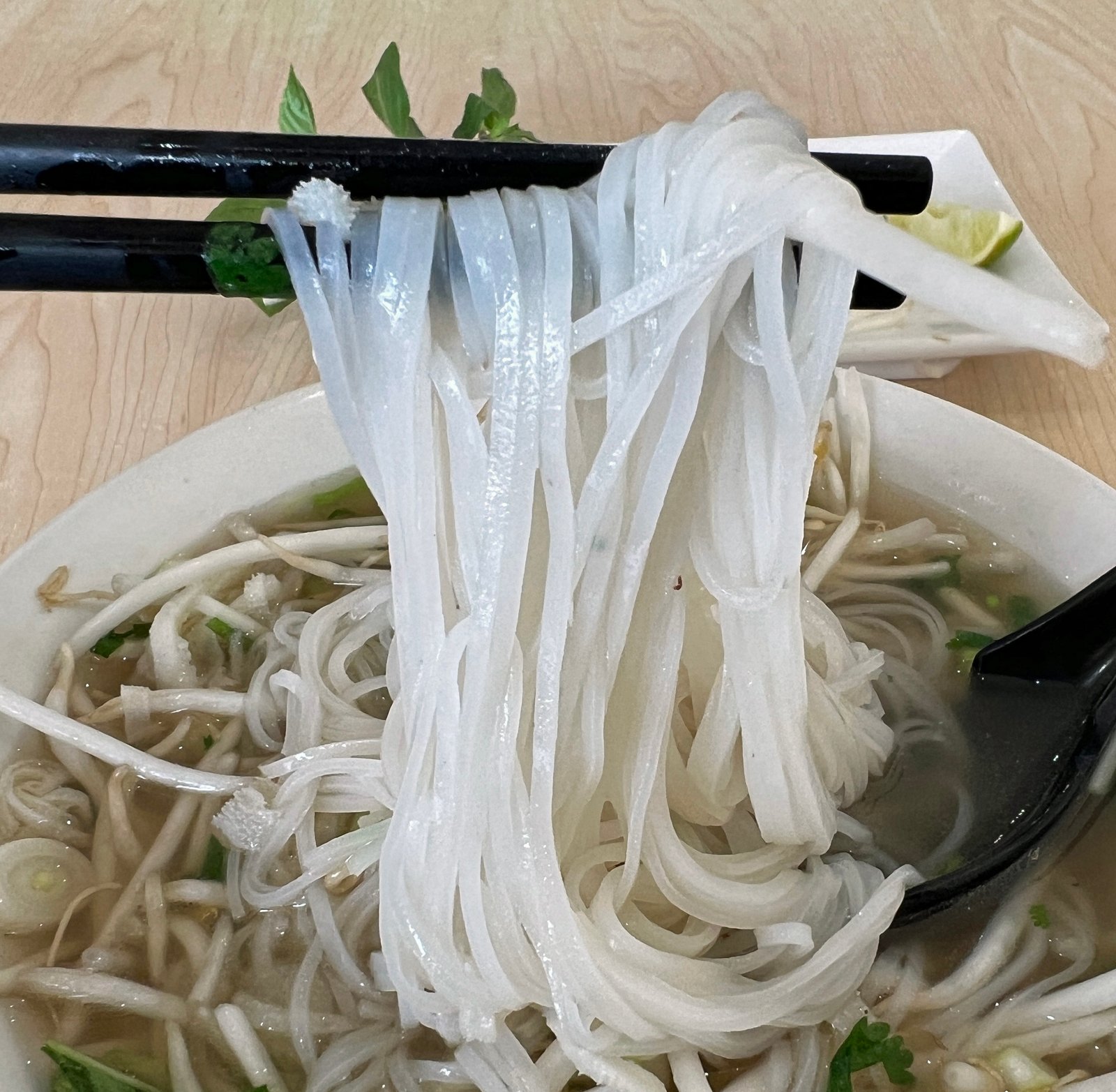 Pho Fusion Rev 05