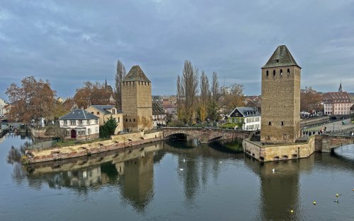 IMG_4524