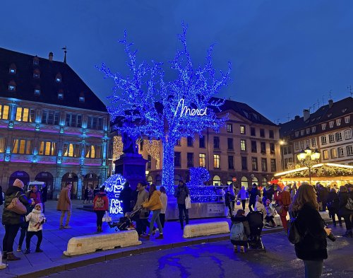 IMG_4484