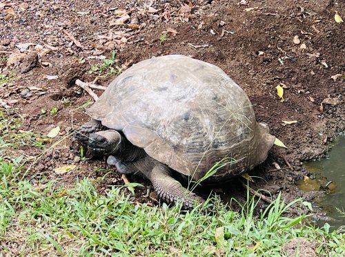 53701496553_22d8cfee21_o