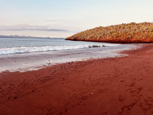 53697627951_f4d9f76b1c_o